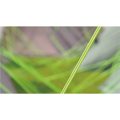 Outwell Nevada MP Dual Protector