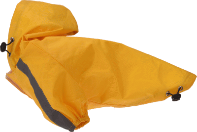 Regnjakke til den mindre hund - perfekt til våde dage på campingpladsen!