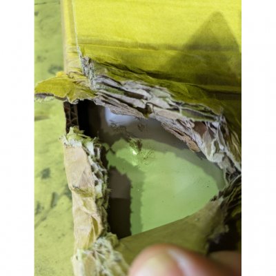 Thule Omnistor 1200 Posemarkise 450 cm - Outlet